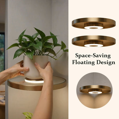 🌿 Floating Plant Shelf with Built-in Ambient LED Light