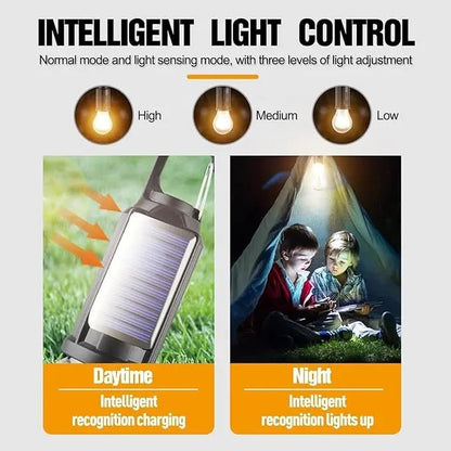 2/4 PCS Rechargeable Solar LED Light Bulbs with Waterproof Clip Hook