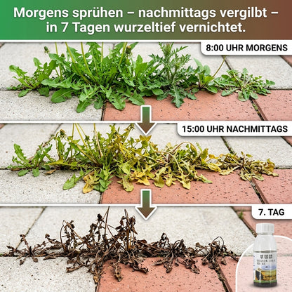 ✅👍Ultimatives Profi-Unkrautvernichter-Konzentrat: 1 Kappe für 1000 m² – Sichtbar in 3 Stunden & 3-fache Geld-zurück-Garantie！